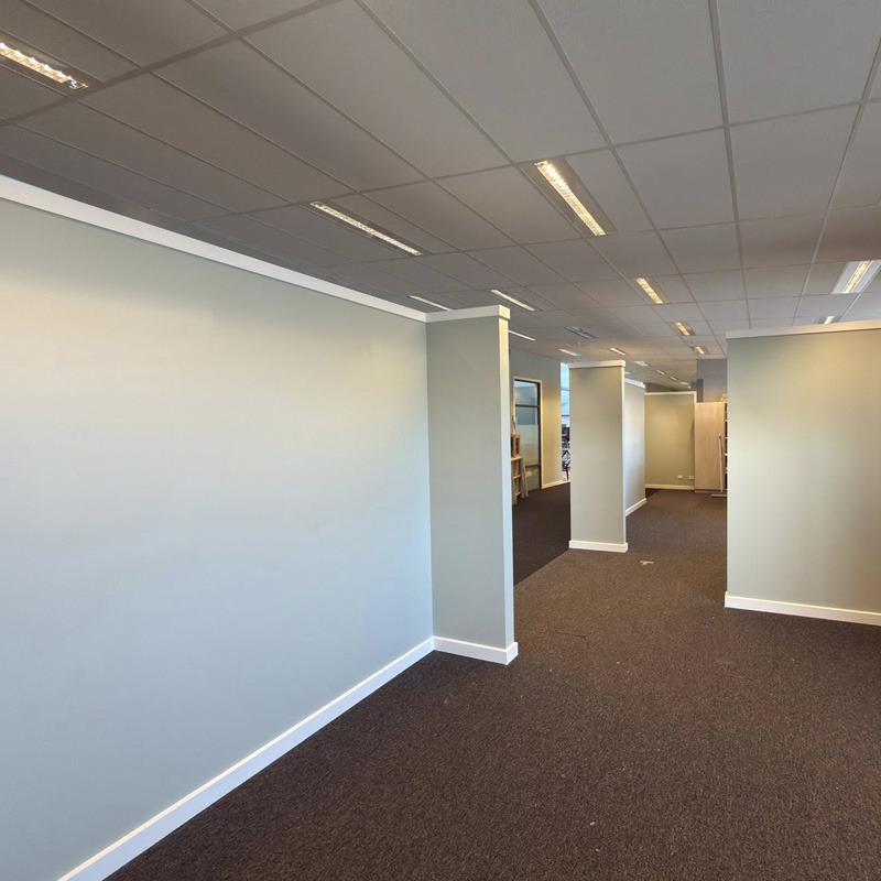 Open office area with newly painted walls, a partition and dark carpet